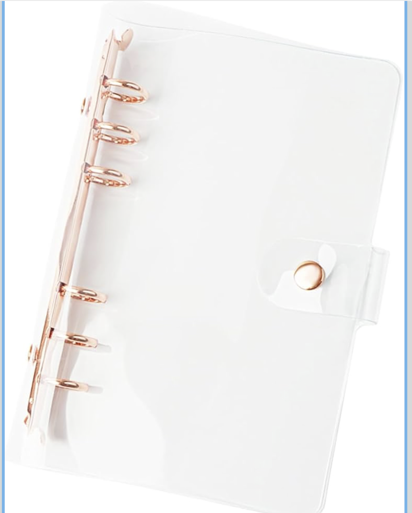Luxe Savings Binder